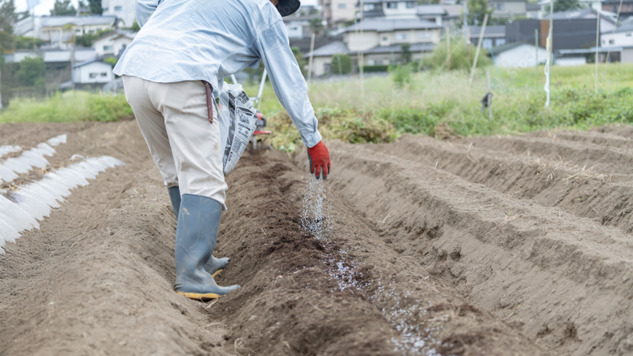 石灰の種類と使い方！土づくりに役立つ基礎知識